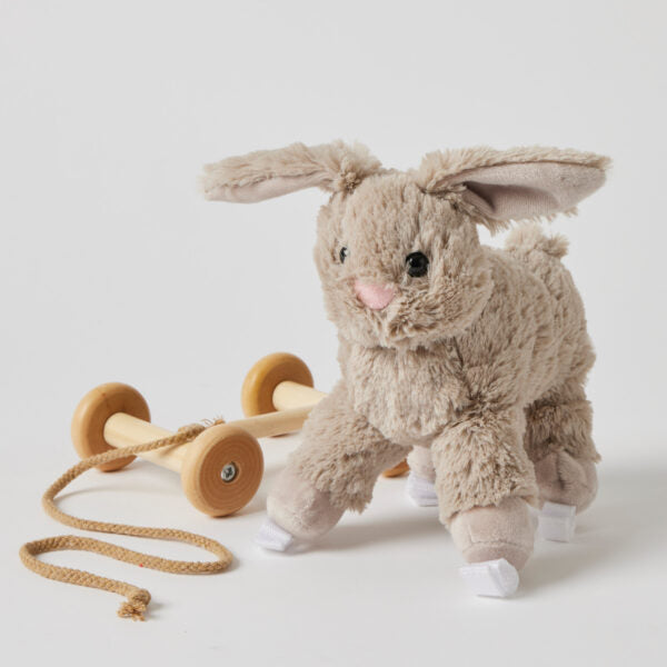 Bunny Pull Along Toy — Soft Plush with Removable Wooden Wheels | 12 Months+
