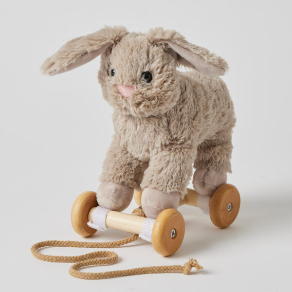 Bunny Pull Along Toy — Soft Plush with Removable Wooden Wheels | 12 Months+