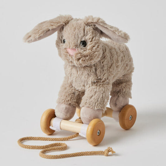 Bunny Pull Along Toy — Soft Plush with Removable Wooden Wheels | 12 Months+
