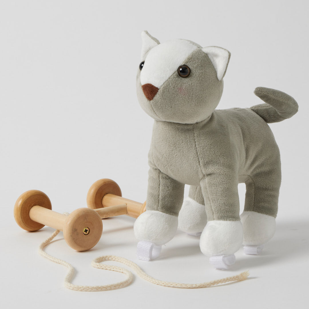 Cat Pull Along Toy — Soft Plush with Removable Wooden Wheels | 12 Months+