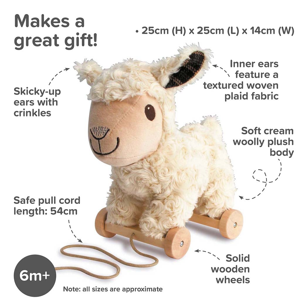 Pull Along Toy — Lambert Sheep | 2-in-1 Plush & Pull Toy | Ages 6m+