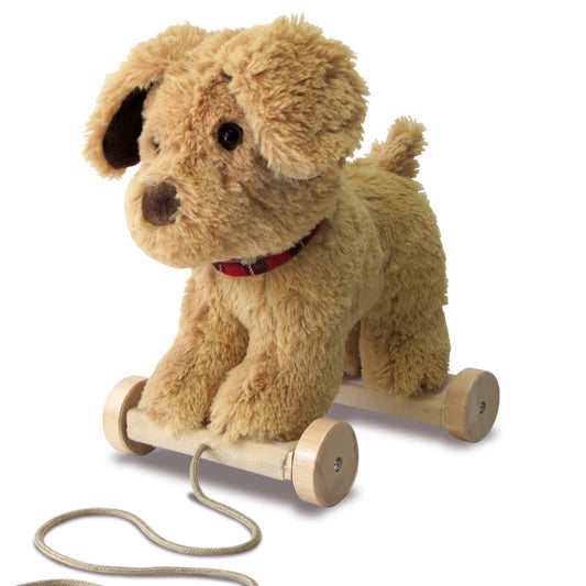 Pull Along Toy — Dexter Dog
