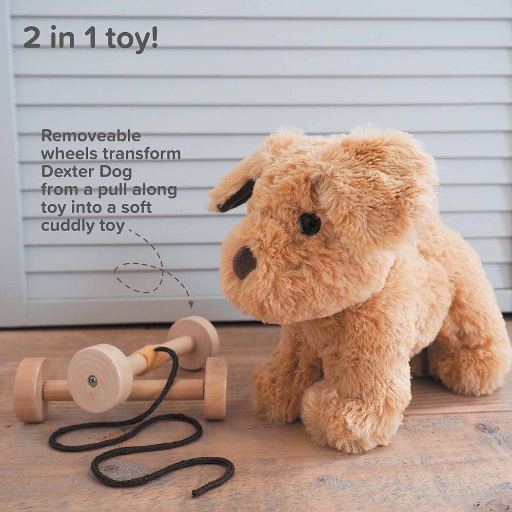 Pull Along Toy — Dexter Dog
