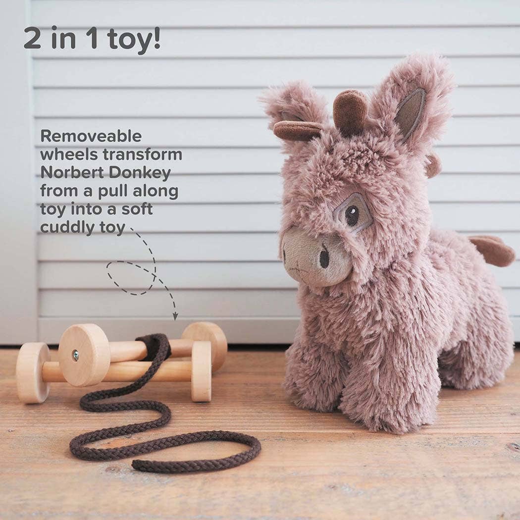 Donkey Pull Along Toy — 2-in-1 Plush Toy with Removable Wooden Wheels | 6 Months+