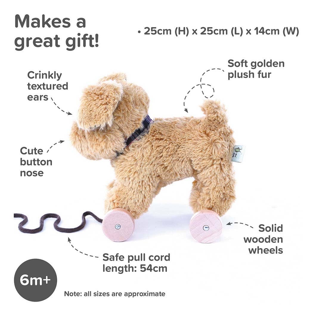Pull Along Toy — Dexter Dog